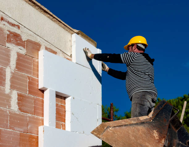 Best Residential Insulation in Kaibito, AZ