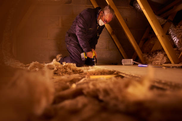 Best Insulation Maintenance and Repair in Kaibito, AZ